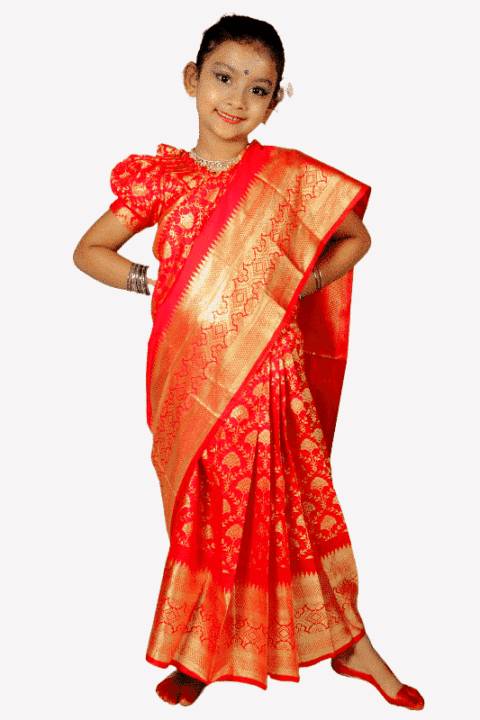 Pankha Banaroshi Baby Ready Saree