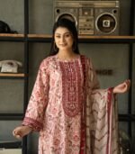 Gulzaar Mirror Embroidered Cotton Salwar Kameez