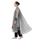 Noyona Salwar Kameez