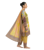 Hamonto Salwar Kameez