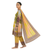 Hamonto Salwar Kameez